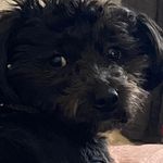 Christine Gendron - @christine.gendron.397 - Instagram