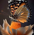 Christine Gendron - Facebook