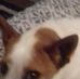 Christine Gratton - Facebook