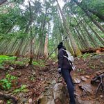 Christine Gresh - @vraie_vie_nw - Instagram