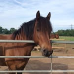 Christine Hardy - @christinehardy795 - Instagram