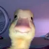 Christine Hardy - @christinehardy34 - TikTok