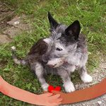 Christine Hauser - @christine.hauser.716 - Instagram