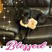 Christine Heaton - Facebook