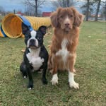 Christina Héroux - @foxy_mcnugget - Instagram