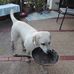 Christiane Hesch - Facebook