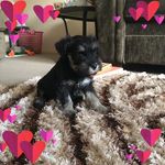 Christine Hogan - @chrissie.hogan57 - Instagram