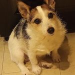 Christine Hogan - @christine.hogan.528 - Instagram