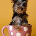 Christine Hogan - Facebook