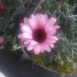 Christine Holzinger - @christine.holzinger.566 - Instagram