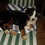 Christine Holzwarth - @christineholzwarth - Instagram