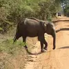 christineholzherr - @christineholzherr - TikTok