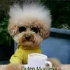 christineholzschu - @christineholzschu - TikTok
