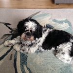Christine Howells - @howells3005 - Instagram