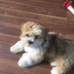 Christine Howells - @christine.howells.501 - Instagram