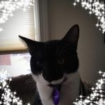 Christine Howells - @instamed73 - Instagram