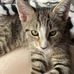 Christine Howells - Facebook
