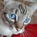 Christine Hubert - Facebook