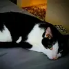 christinehubert568 - @christinehubert568 - TikTok