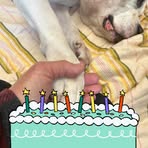 Christine Huff - Facebook