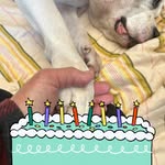 Christine Huff - @christine.huff.568 - Instagram