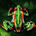 Christine Marie Huff - @cmhuff787 - Instagram