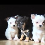 Christine Judd - @judskins - Instagram