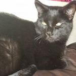 Christine Kidd - @christinekidd62 - Instagram