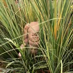 Christine Kolodge - @christinekolodge - Instagram