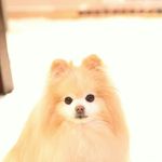 Christine Lao - @christine.lao.908 - Instagram