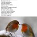Christine Larkin - Facebook