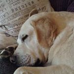 Christine Lawless - @christinelawless2003 - Instagram