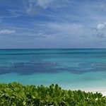Christine Lawless - @lawless.christine - Instagram