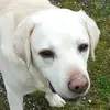 Christine Lawless - @christine.lawless4 - TikTok