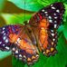 Christine LeClaire - Facebook