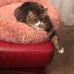Christine Leclaire - Facebook