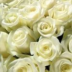 Christine Lien - @lienchristine1975 - Instagram