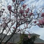 Christine Lien - @chialingholien - Instagram