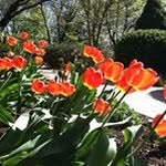 Christine Mackey - @mackey1616 - Instagram