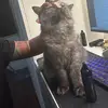 christinemann06 - @christinemann06 - TikTok