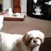 Christine Manning - Facebook