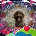 Christine Manning - Facebook