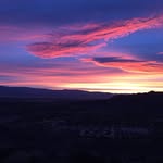 Christine Masterson - @cmasterson1 - Instagram