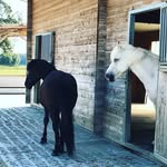 Christine mayer - @chri.stinemayer - Instagram