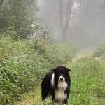 Christine Mayer - @christine.mayer.1213 - Instagram