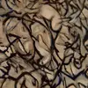 Christine Maynard - @christine.maynard - TikTok