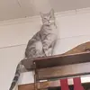 Christine Maynard - @christine.maynard2 - TikTok