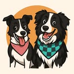 Christina Piper - @zerothebordercolliemix - Instagram