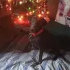 christinepiper - @christinepiper - TikTok