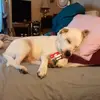 Christina Ramey - @christina.ramey1 - TikTok